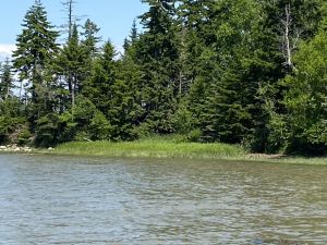 Photo of listing 856