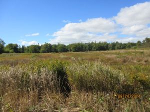 Photo of listing 859