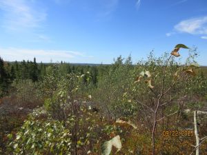 Photo of listing 866